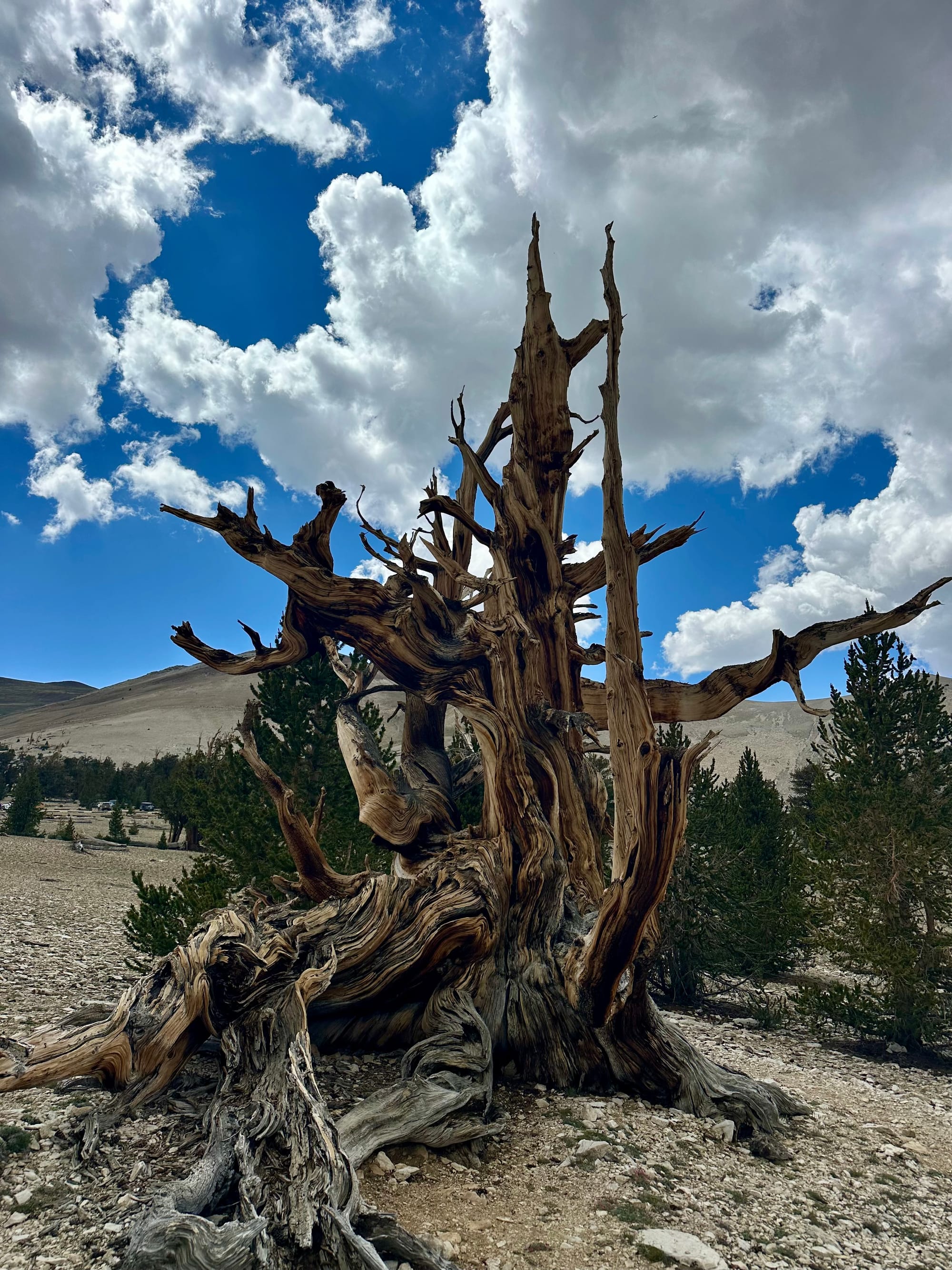A visit to the Eastern Sierras