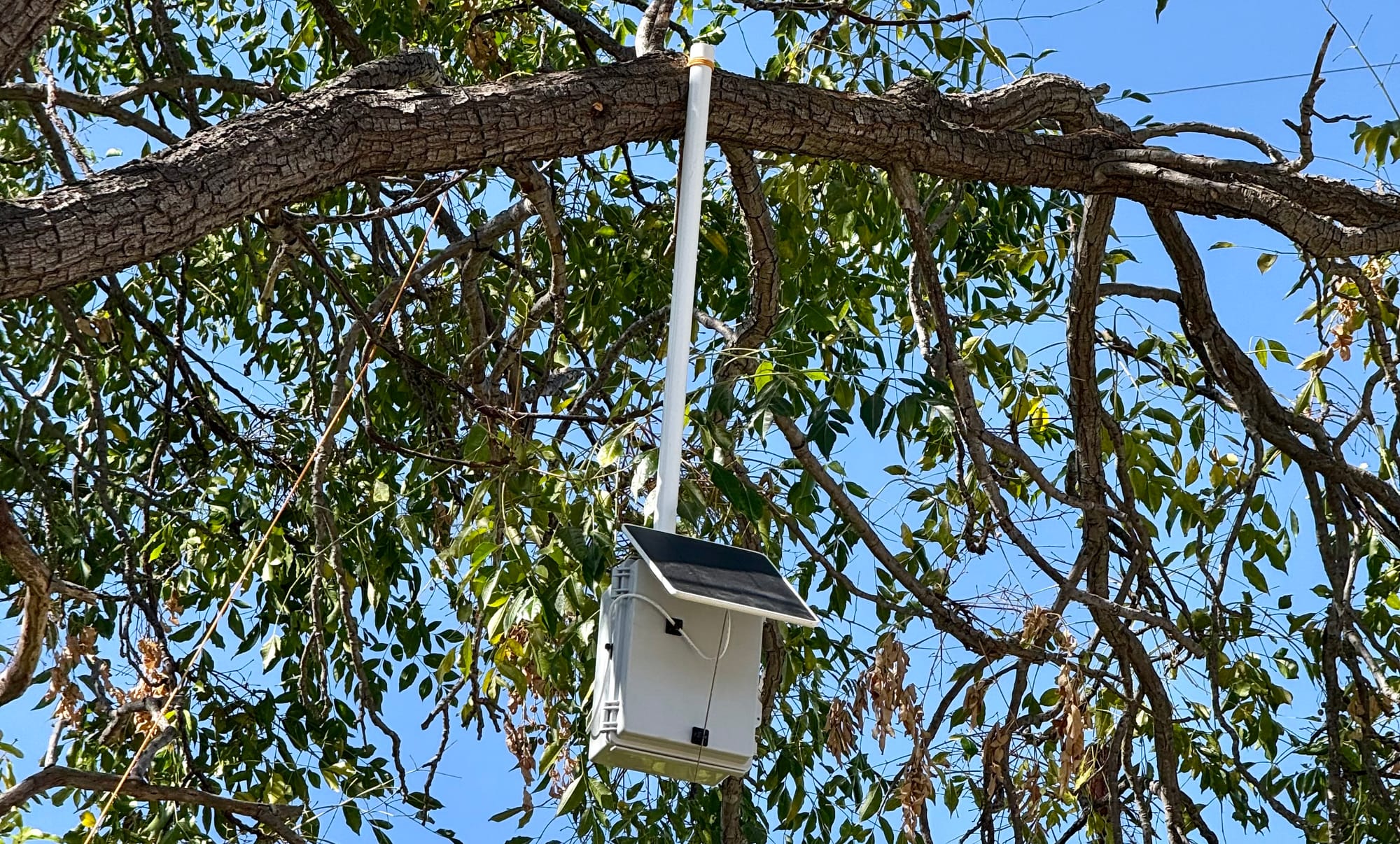 Meshtastic: Down the Rabbit Hole, and a Repeater in a Tree. Is it worth the hype, or the fuss?